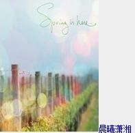 花2.jpg
