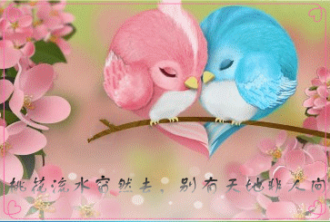 3_副本3.gif