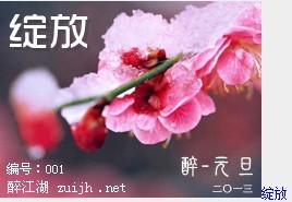 未命名5.jpg