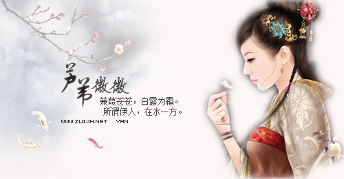 芦苇微微.jpg