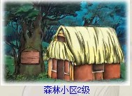 森林2.jpg