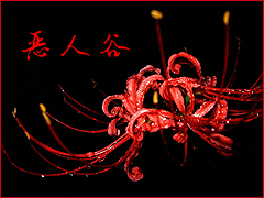 未标题-3.jpg