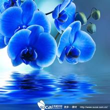 u=443730653,625671138&amp;fm=21&amp;gp=0.jpg