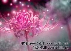 彼岸蔓珠.jpg