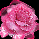 4be87de51be22e78c60f0.gif
