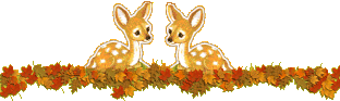 1380791295675_middle.gif