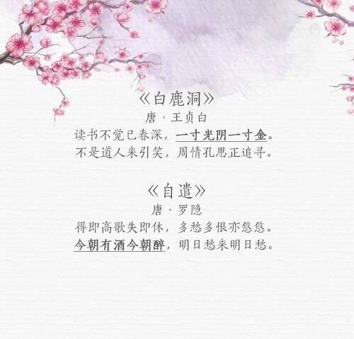 img-9711e914db0fd6465aaf832e93c31cf4.jpg