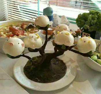 母猪.jpg