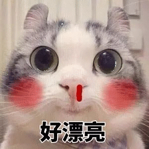 5B362EAB-824B-4FC2-B56F-C71E8242EBE4.gif