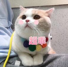 xiaotu.jpg