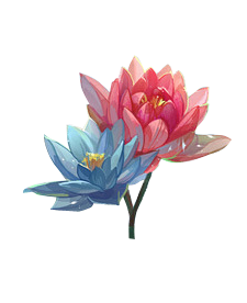 荷花（40).png