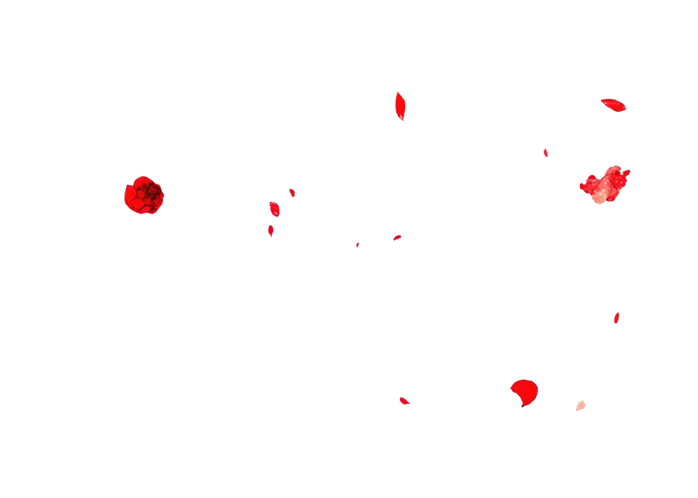 花花 (37).png