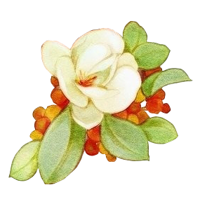 花花 (47).png