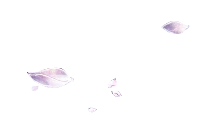 花花 (70).png