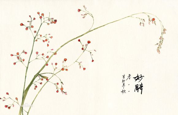 花花 (76).jpg