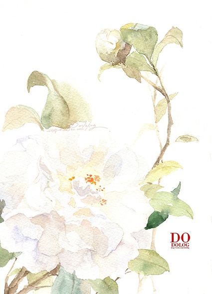 花花 (90).jpg
