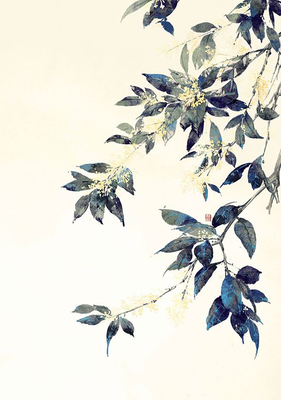 花花(98).jpg