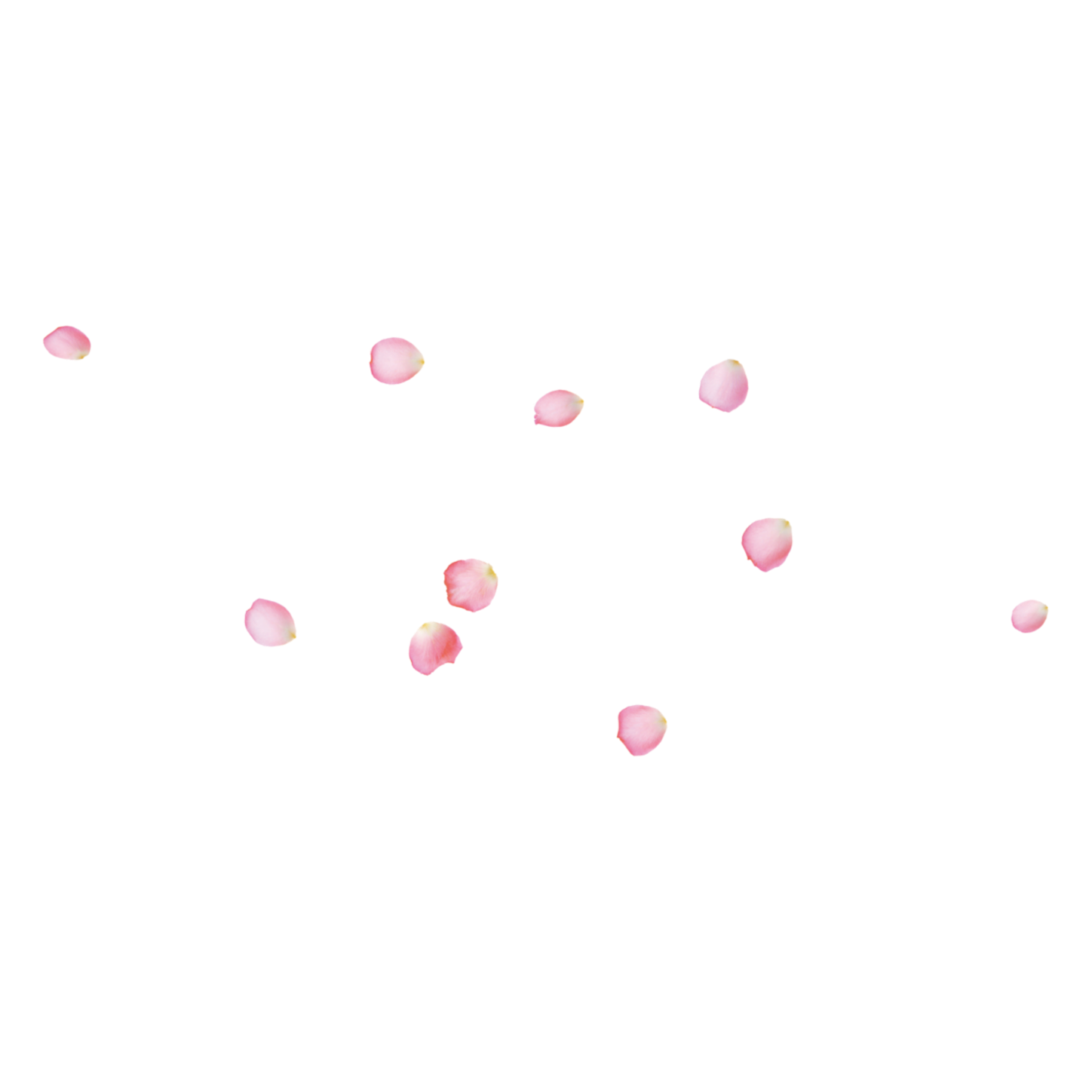 花花(127).png