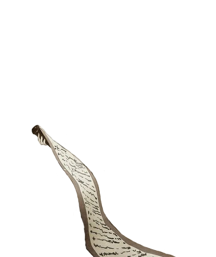 杂七杂八 (12).png