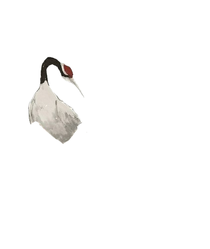 小鸟 (2).png