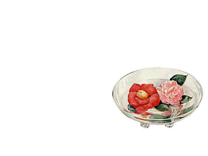 花盘素材.png