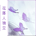 小福蝶头像.jpg