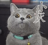 QQ图片20221227133533.gif