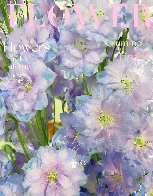 蕾丝.jpg