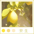 20安生头像.jpg