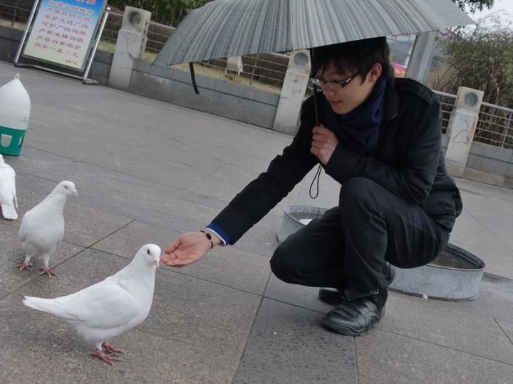 惜缘江湖